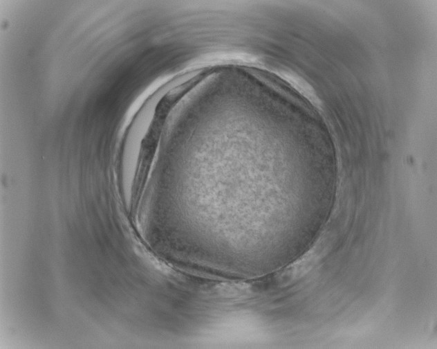 X0000075830912200609291419