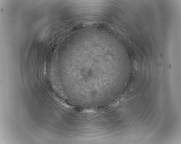 X0000075830914200609291418