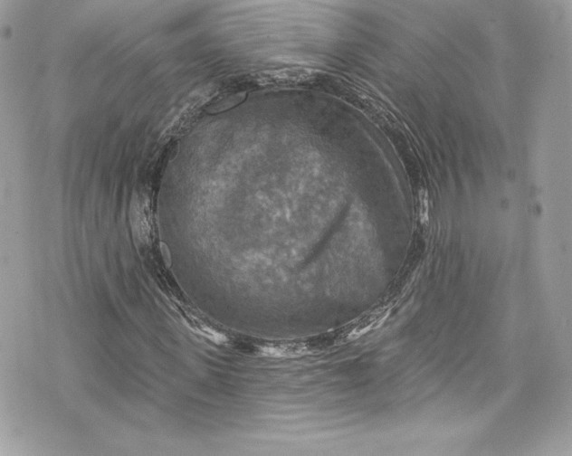 X0000075830915200609291418