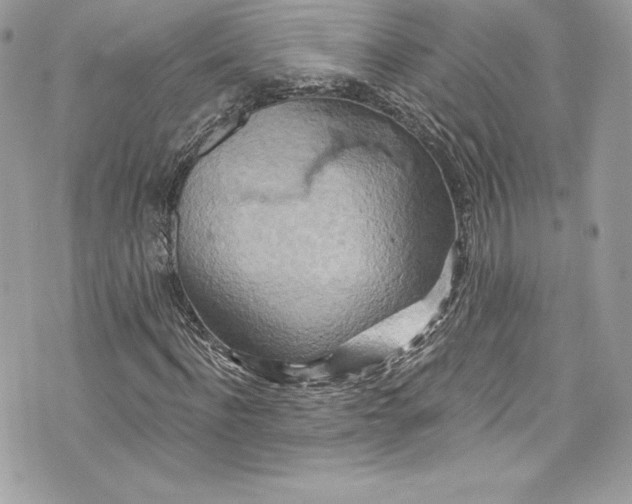 X0000075830916200609291418