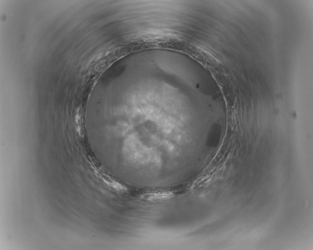 X0000075830917200609291418