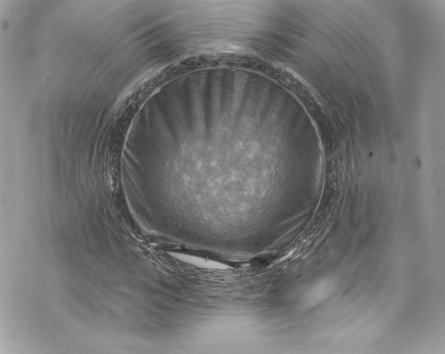 X0000075830919200609291418