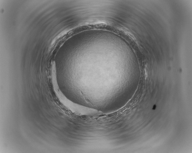 X0000075830920200609291418