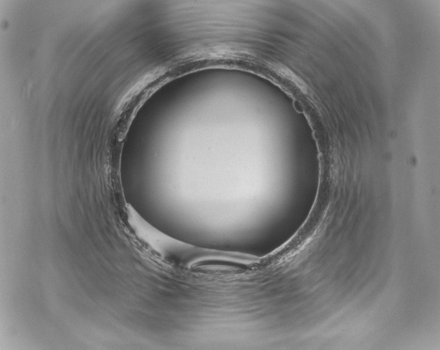 X0000075830922200609291418