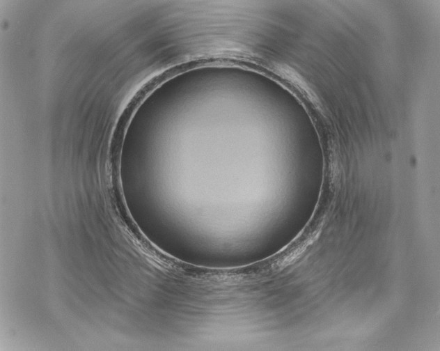 X0000075830924200609291418