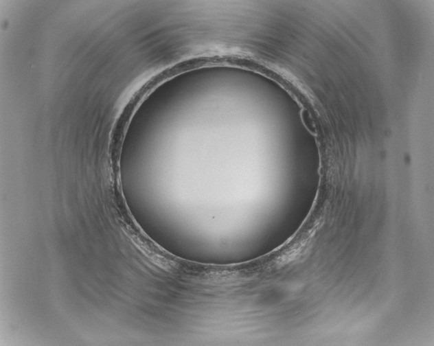 X0000075830927200609291418