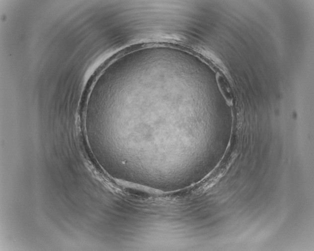 X0000075830928200609291418