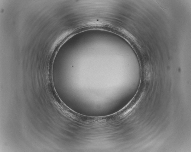 X0000075830930200609291418