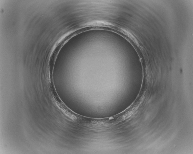 X0000075830931200609291418