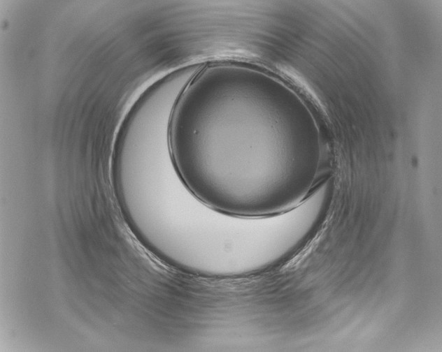 X0000075830932200609291418