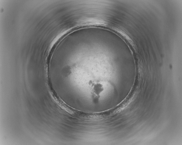 X0000075830933200609291418