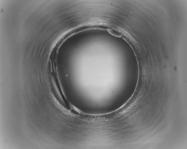 X0000075830934200609291418