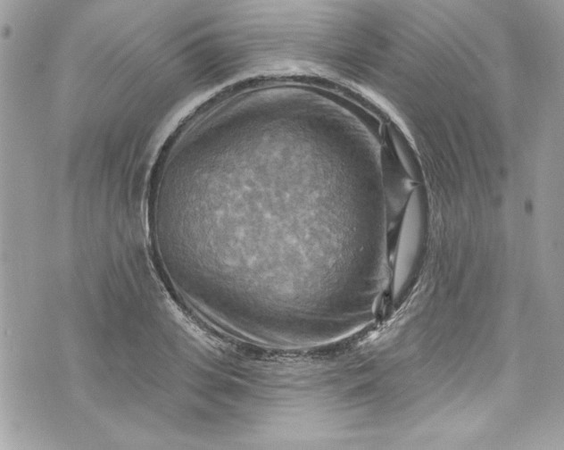 X0000075830935200609291418