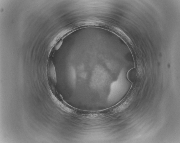 X0000075830938200609291418