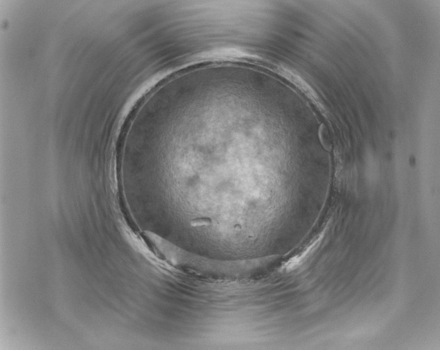 X0000075830939200609291418