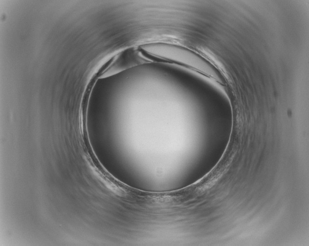 X0000075830940200609291418