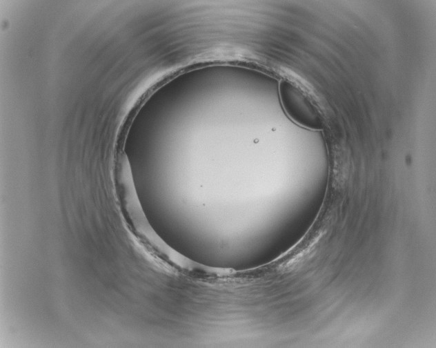 X0000075830942200609291418