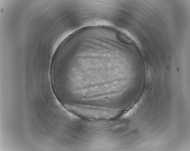 X0000075830943200609291418