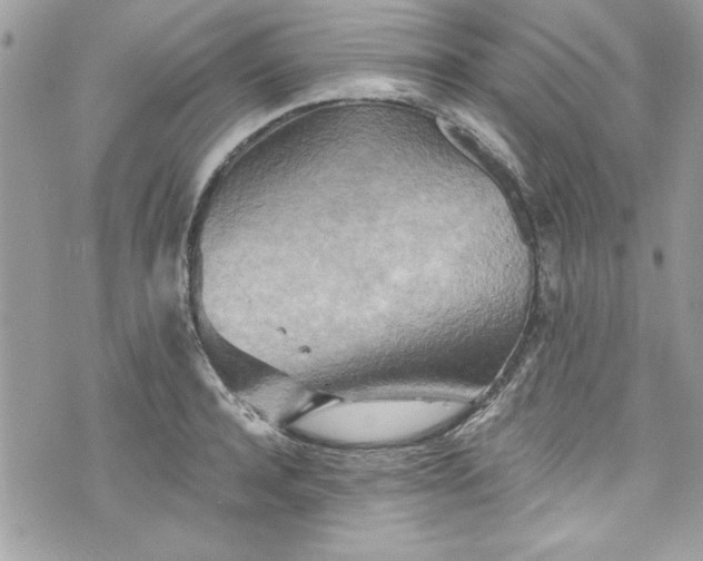 X0000075830944200609291418