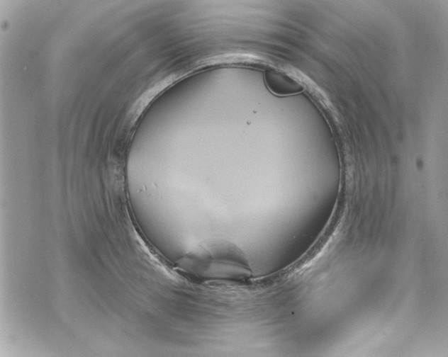 X0000075830945200609291418