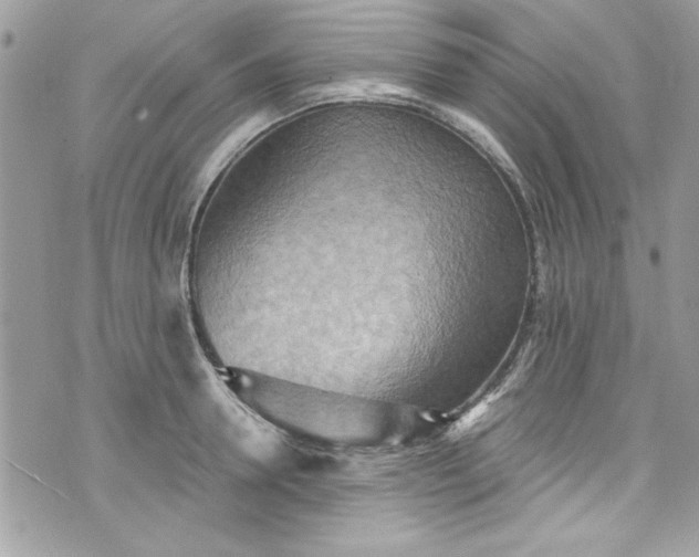 X0000075830946200609291418