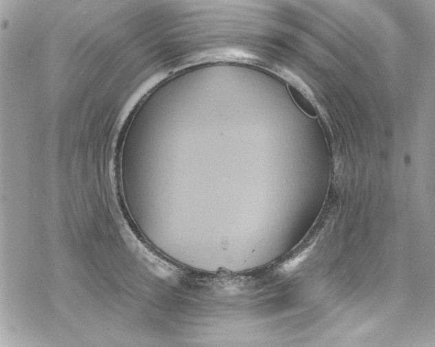 X0000075830947200609291418