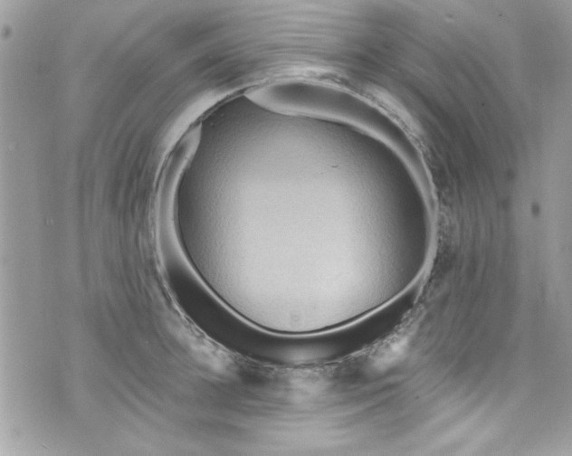 X0000075830948200609291418