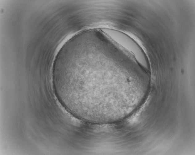 X0000075830949200609291418