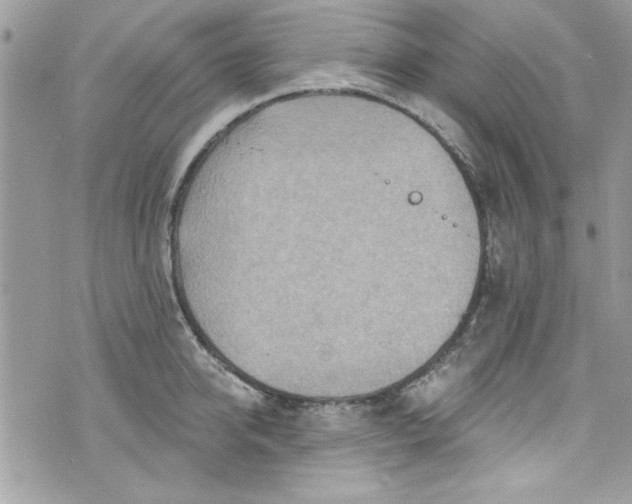 X0000075830950200609291418