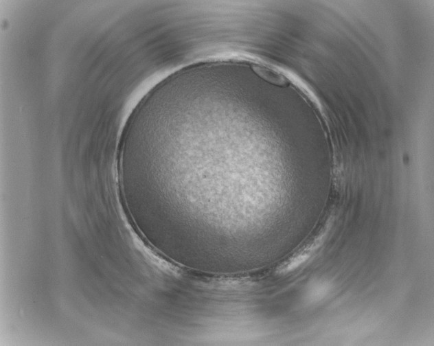 X0000075830951200609291418