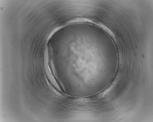 X0000075830953200609291418