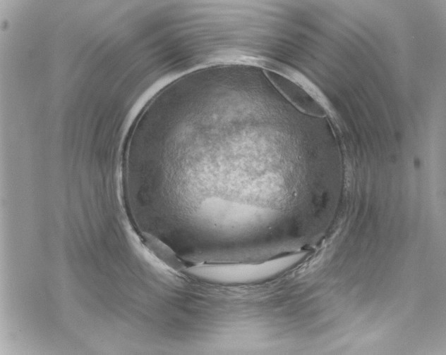 X0000075830955200609291418