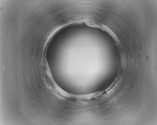 X0000075830956200609291418