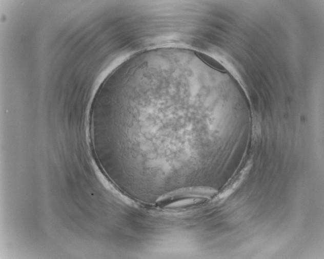 X0000075830957200609291418