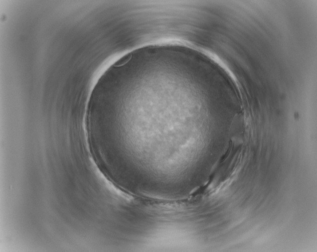 X0000075830959200609291419