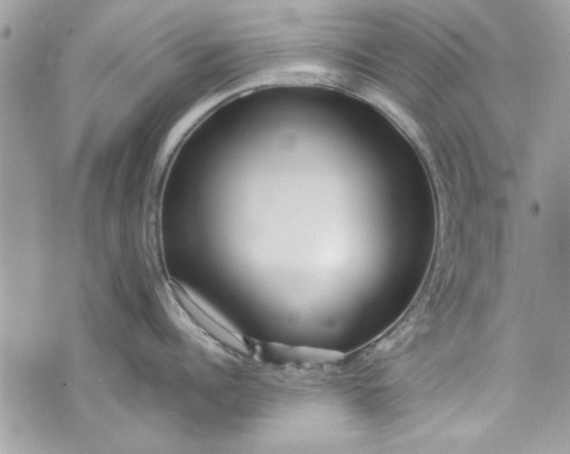 X0000075830960200609291419