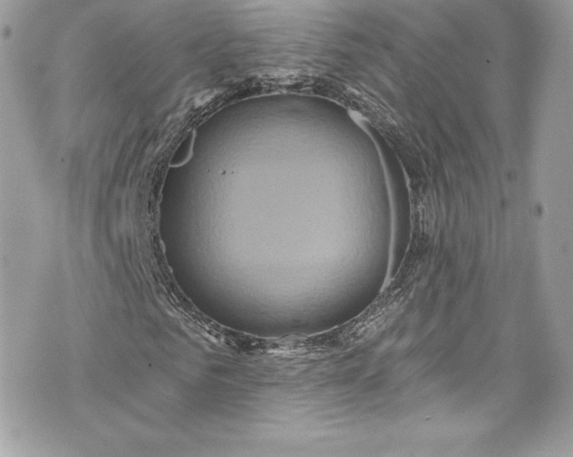 X0000075830961200609291418