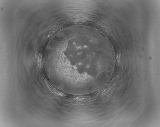 X0000075830963200609291418