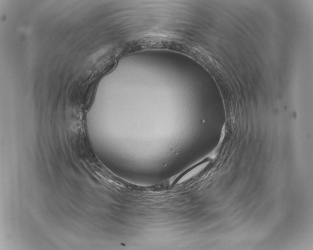 X0000075830964200609291418