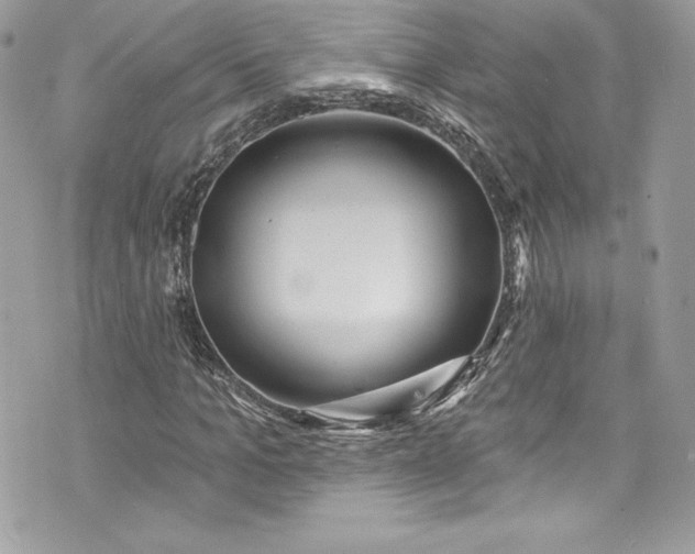 X0000075830965200609291418