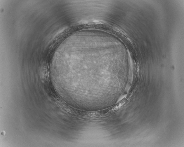 X0000075830966200609291418