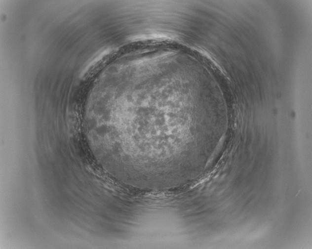 X0000075830967200609291418