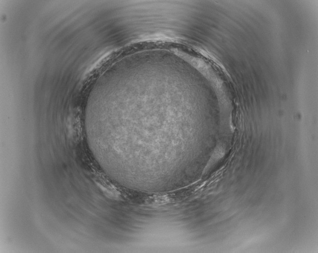 X0000075830968200609291418