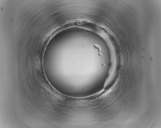 X0000075830969200609291418