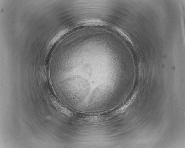 X0000075830970200609291418