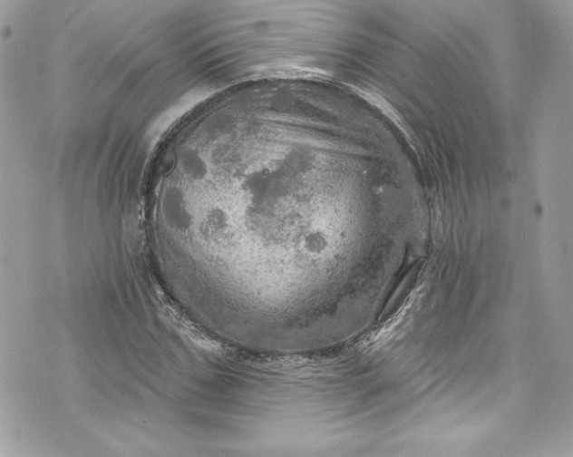 X0000075830971200609291418