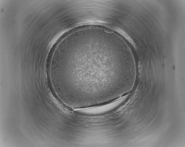 X0000075830972200609291418