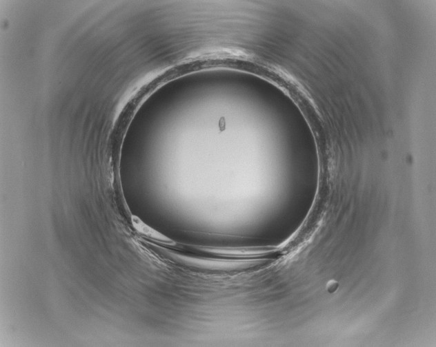 X0000075830973200609291418