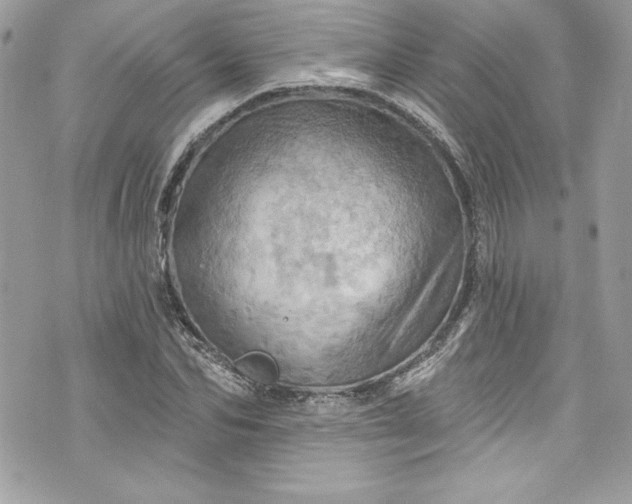 X0000075830974200609291418