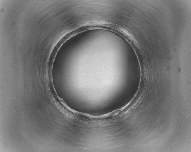 X0000075830976200609291418